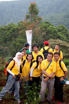 20101120-Halimun_013086L.jpg
