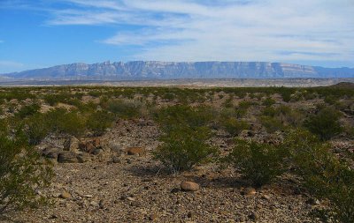 bigbend08_068_86.jpg