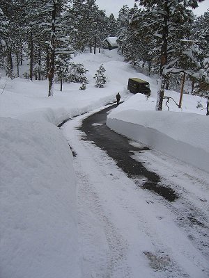 Colorado Winter