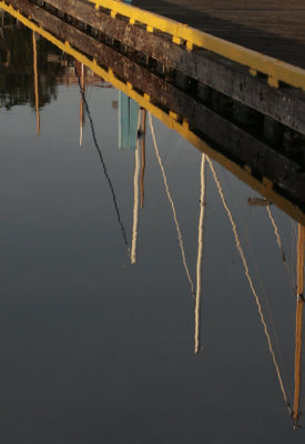 _Z7T6750_Reflection_Sticks.jpg