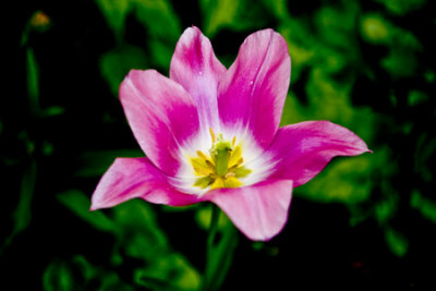 g1/80/343280/3/106031737.TWkjpavH.jpg
