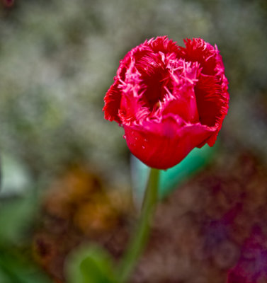 g1/80/343280/3/106031742.gYCrND5D.jpg