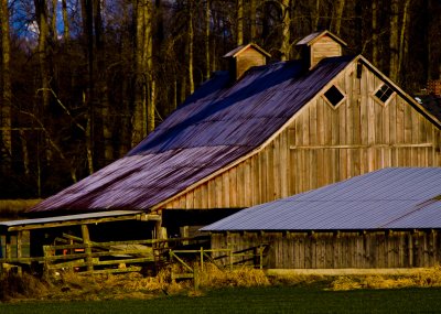 _MG_1866_Old Barn.JPG