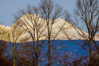 _MG_1869_Mt Baker.JPG