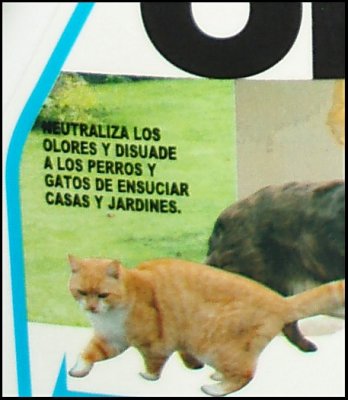 Cat spray 2.jpg