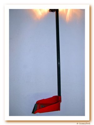 Dustpan.JPG