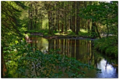 Lake Vyrnwy 1460 copy