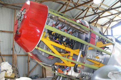 Decals and Detail-3394