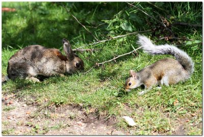 I'll eat the seeds, you can have the nuts..