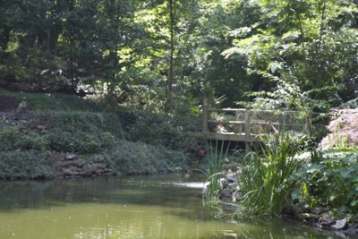 IMG_6624.jpg