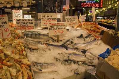 fishIMG_0725.jpg