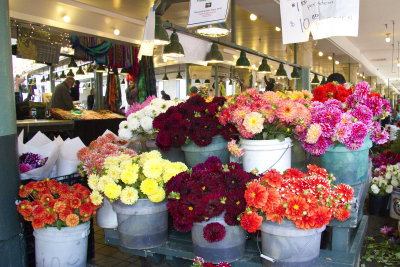 flowersPPMIMG_0711.jpg