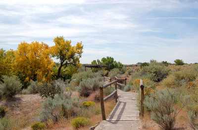 DSC_0199.jpg