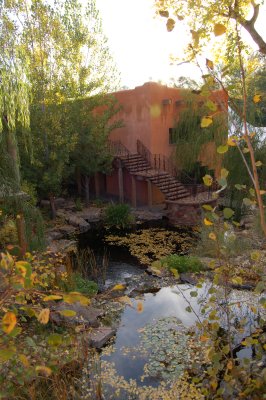 DSC_0133.JPG