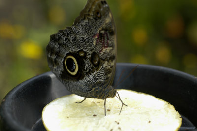 g1/80/509180/3/109841166.wpETRGBq.jpg
