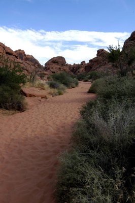 ValleyOfFire1376NikonD100 copy.jpg