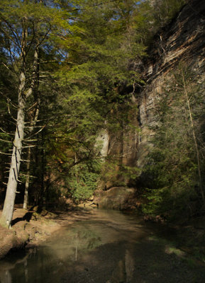 9035 web.jpg