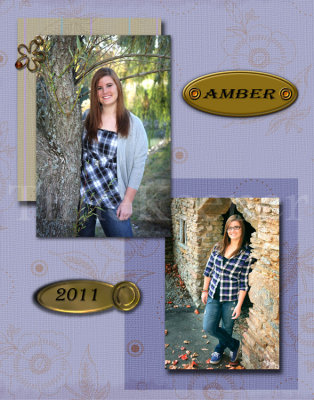 Amber collage 1 proof copy.jpg