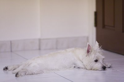 IMG_3847.jpg