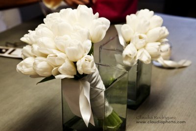 White tulips. Photo by Claudia Rodriguez   www.claudiaphoto.com