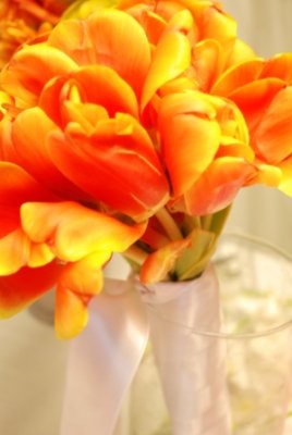 Orange tulips. Photo by Cecilia Dumas, www.ceciliadumas.com