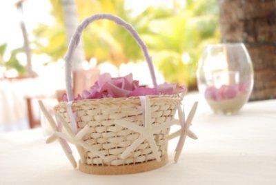 Flower Baskets & Ring Bearer