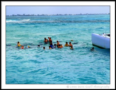 People Interacting With Sting Rays