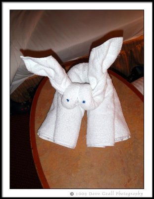Rabbit Animal Towel