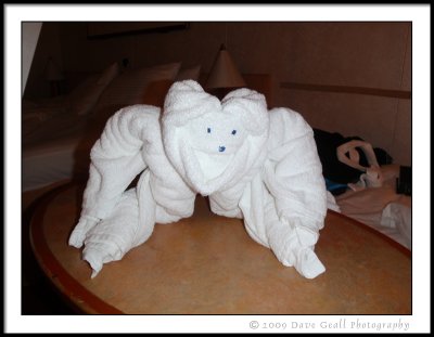 Picture 248.jpg