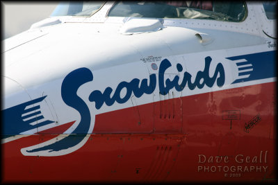 The Snowbird logo