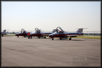 Snowbirds on the ground