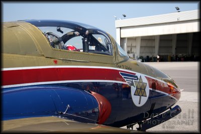 Golden Centennaires over the wing shot
