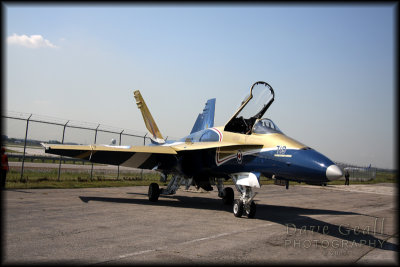 Canadian F-18