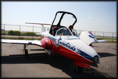 Snowbird nose shot