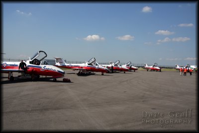 Snowbirds on display