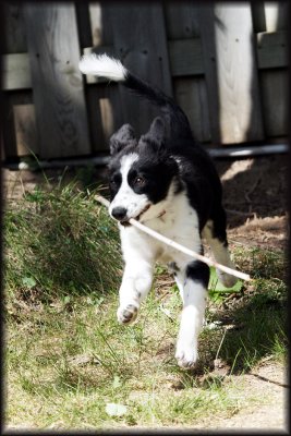 3 Months Old
