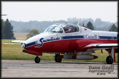 SnowBirds