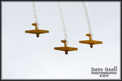 Harvards - 03