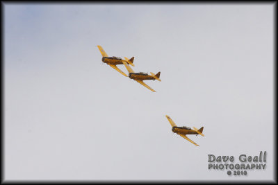 Harvards - 05