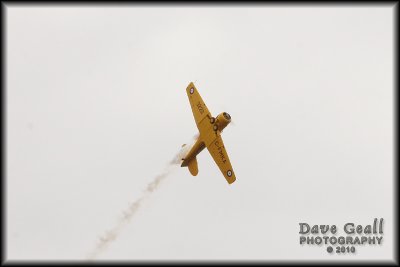 Harvards - 10