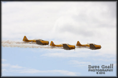 Harvards - 12
