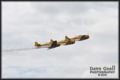 Harvards - 13