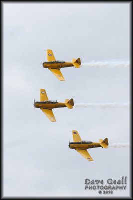 Harvards - 14