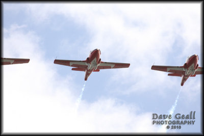 SnowBirds