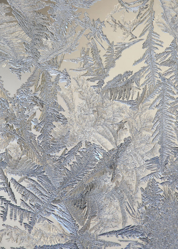 January Frost 