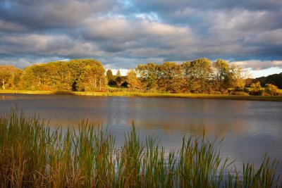 Late afternoon light in early autumn