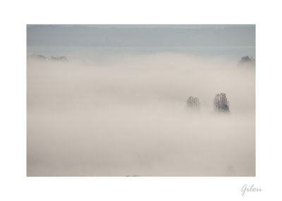 Mer de brouillard sur Bevaix