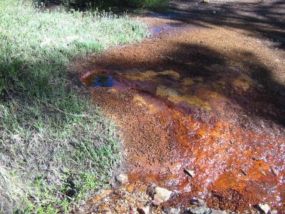 Mineral Spring seep