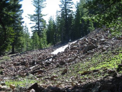 Moonlight Mine digs