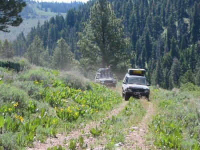 Through tall grass on the trail